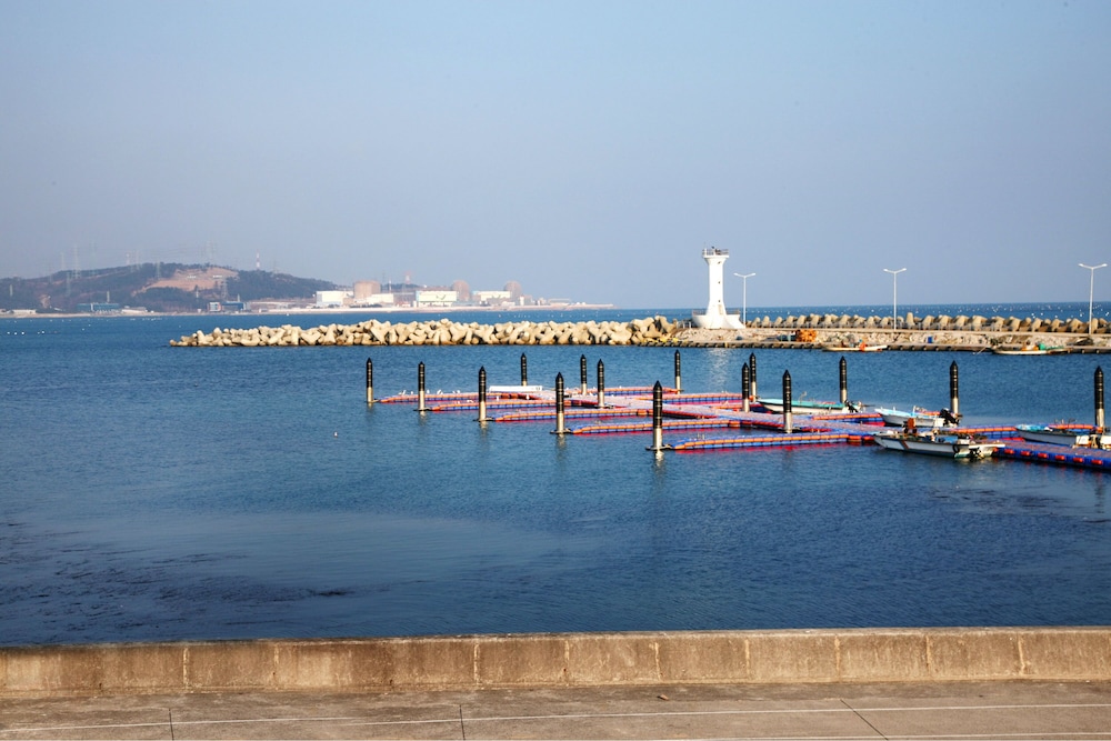 Busan Pension Chaeum