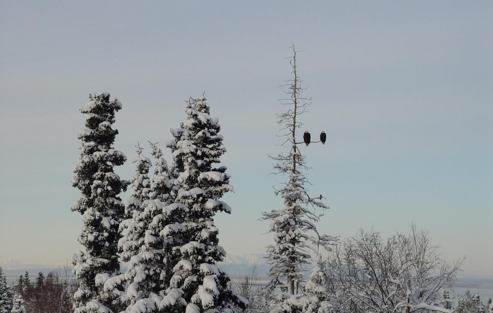 other