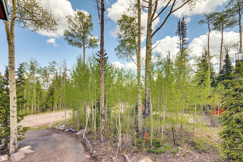 Brian Head Cabin < 1 Mi to Resort: Ski + Mtn Bike