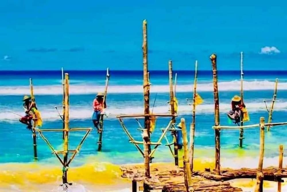 Shasee Rest -Mirissa Sri Lanaka
