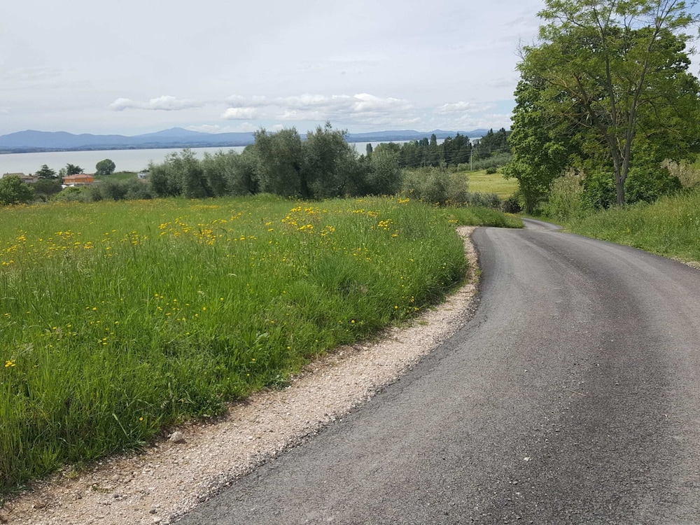 Photo 27