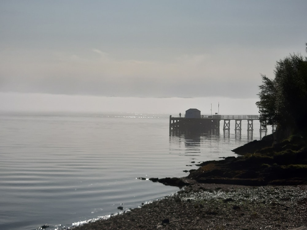 Off Grid 1-bed Cabin, Pets Ok, 20 Mins to Dunoon view 4