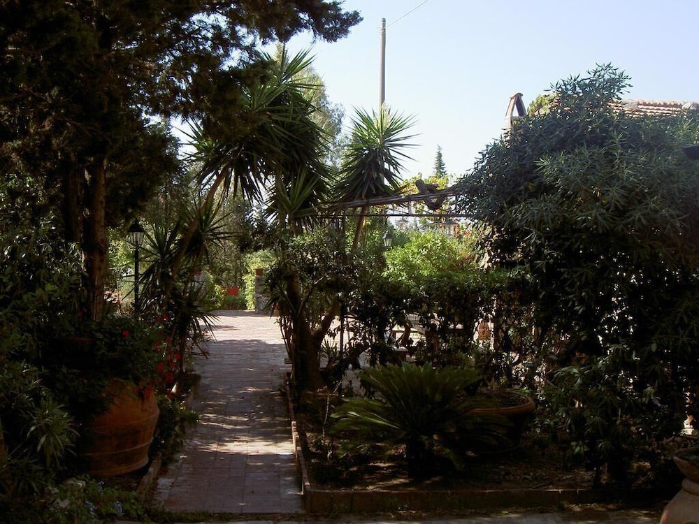 Photo 46