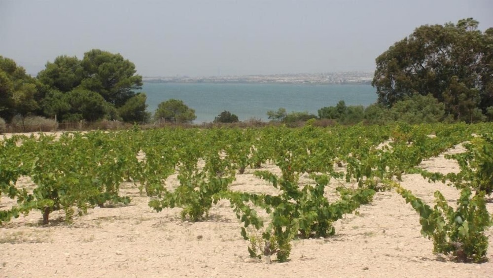 Lovely Apartment Near the Beach in Sunny La Mata