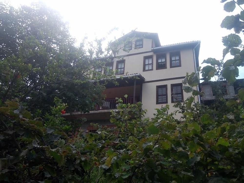 Zaga Konagi, photo 15