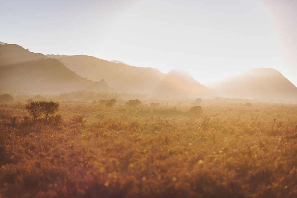 Rooiberg Safaris