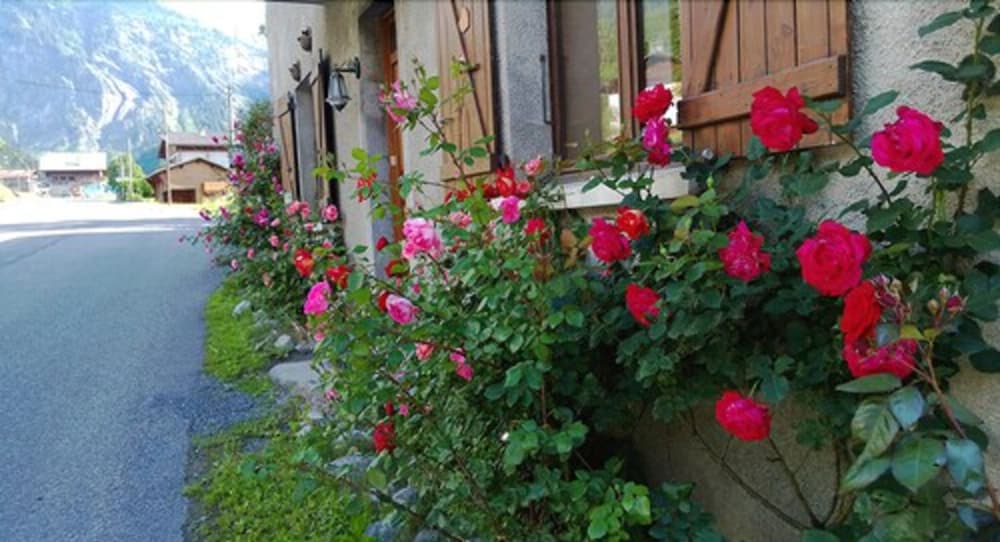 Photo 26