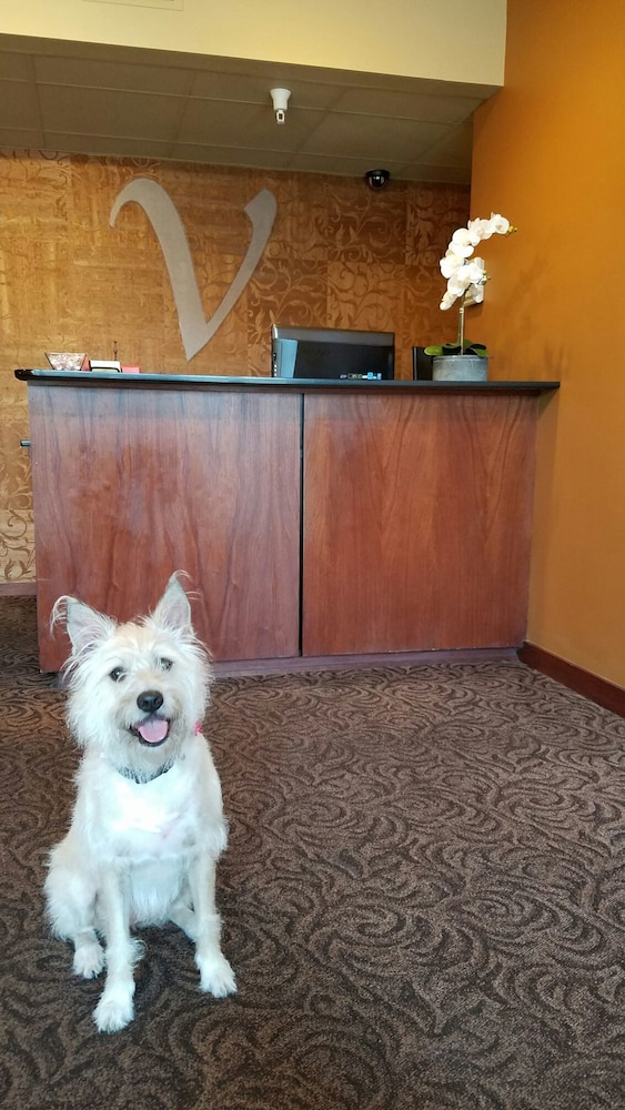 Corpus Christi Vacations - V Boutique Hotel - Property Image 19