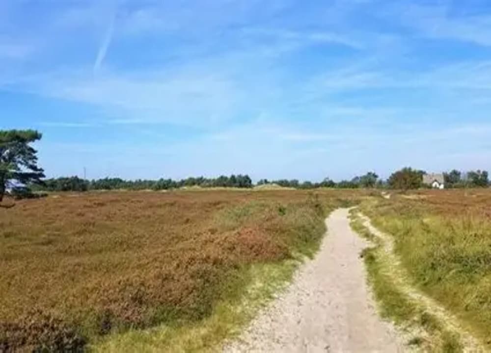 Appartements Post Hiddensee in Vitte