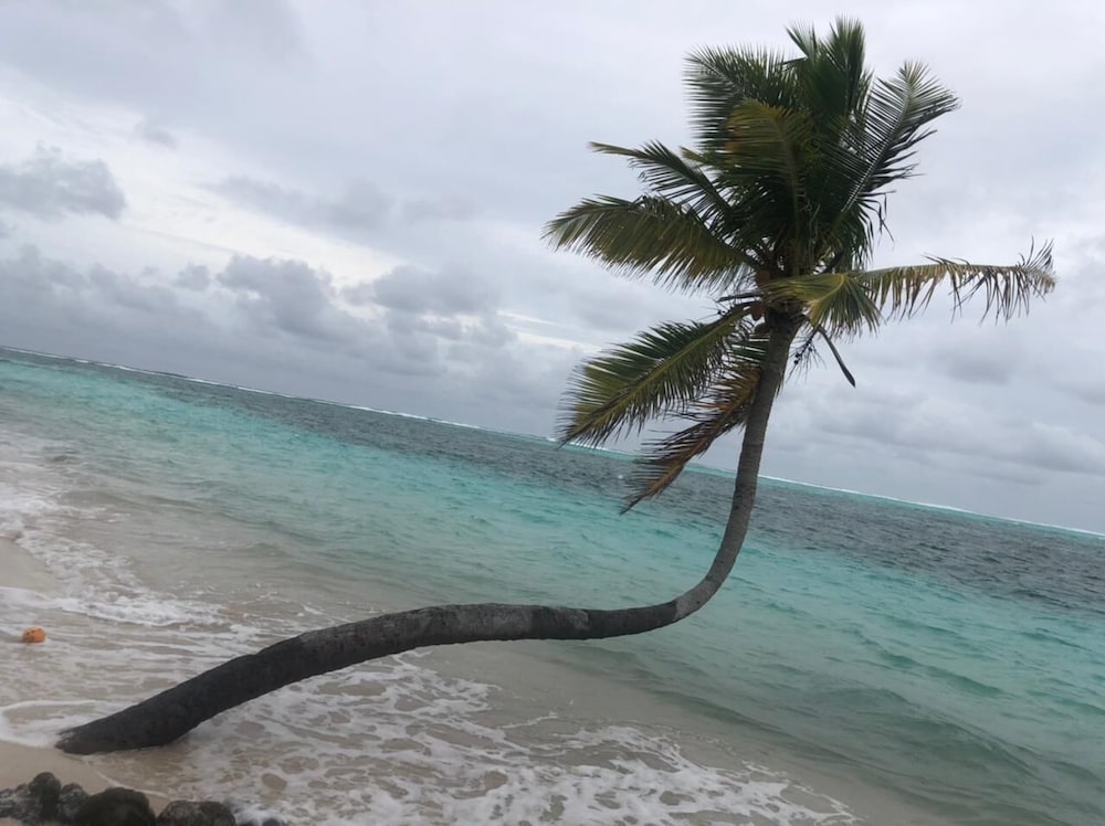 Annama Lodge And Dive