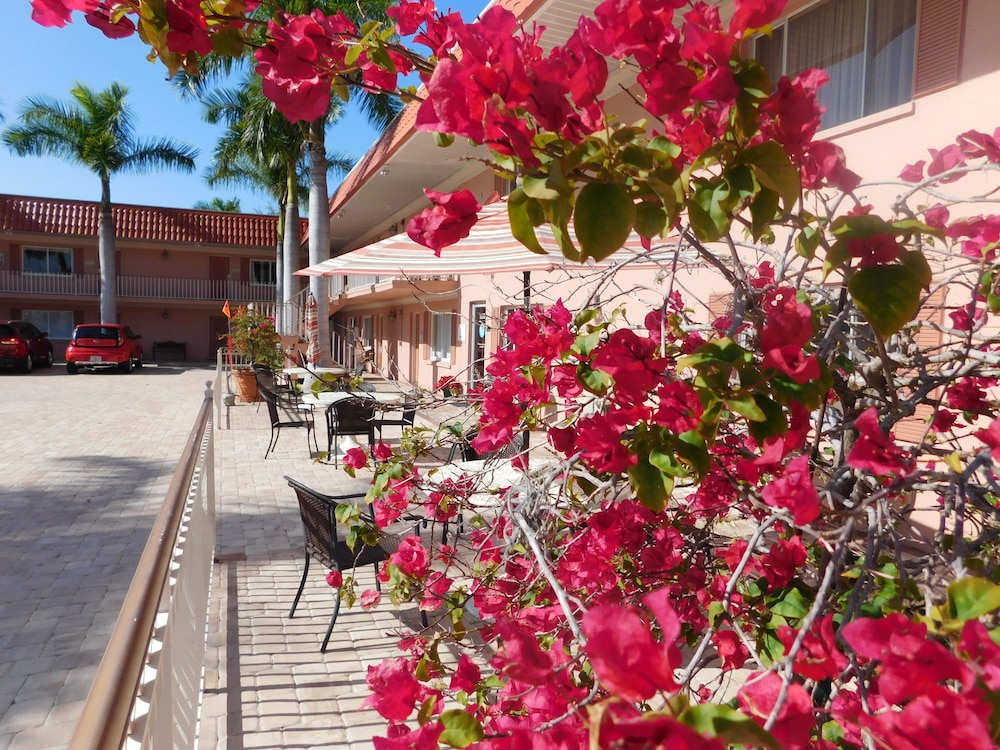 Orlando Vacations - Hibiscus Suites - Gateway to Siesta Key - Property Image 3
