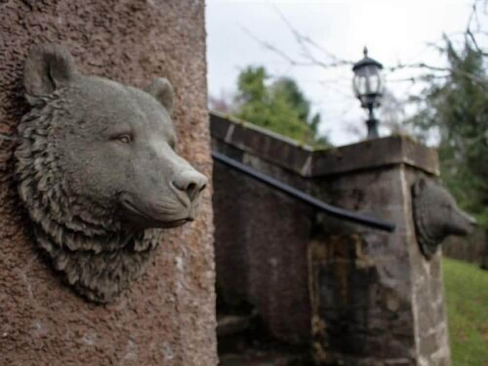 Highland Bear Lodge & Luxury Bear Huts