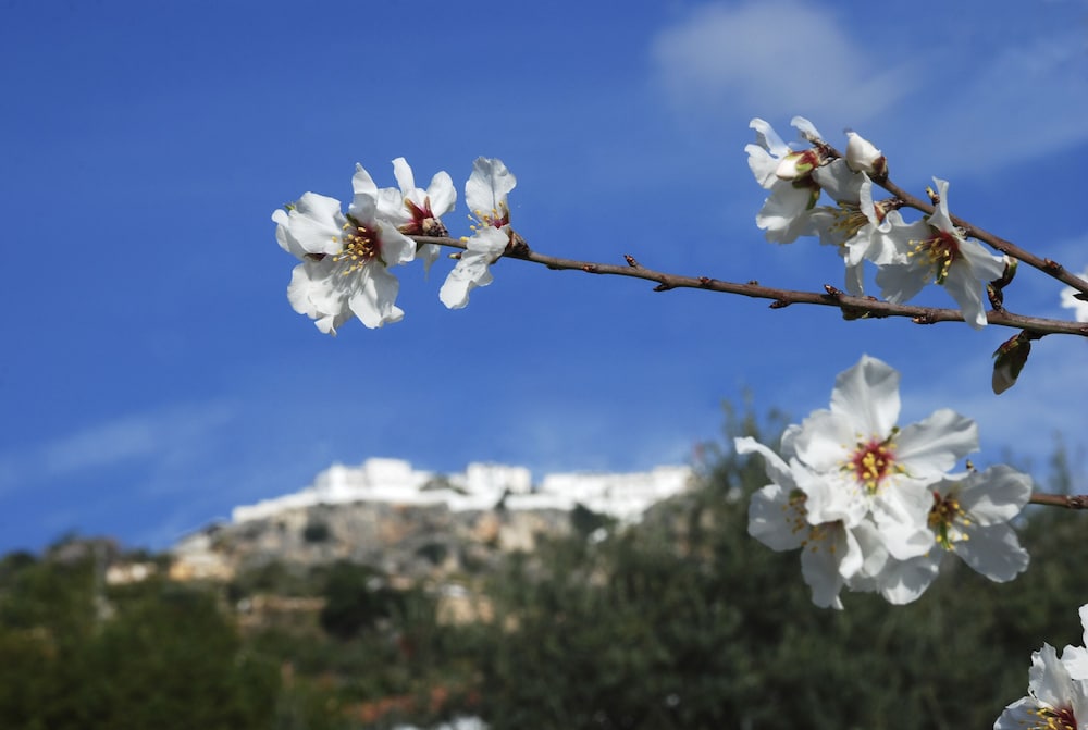 Holiday Home With Private Pool Near Andalusian Village Comares, Malaga
