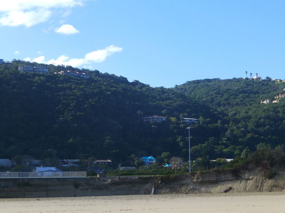 Photo 31