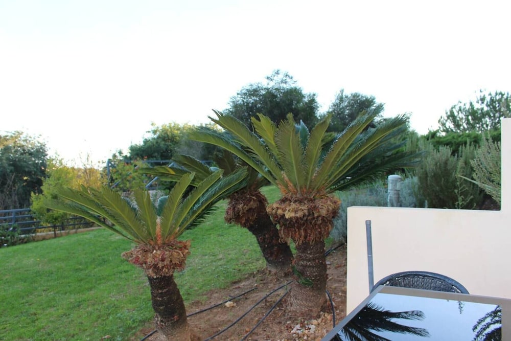 Charming 3-bed Apartment in Albufeira view 4