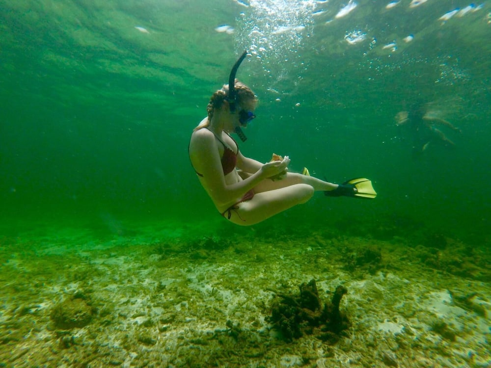 Angel Fish Cove