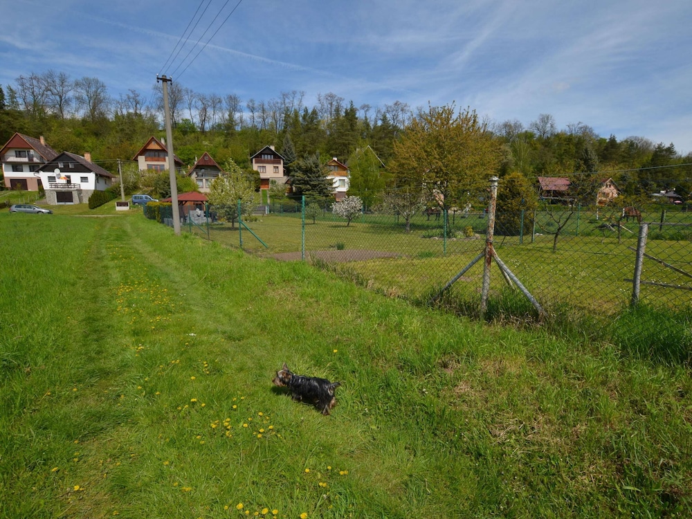 Photo 9