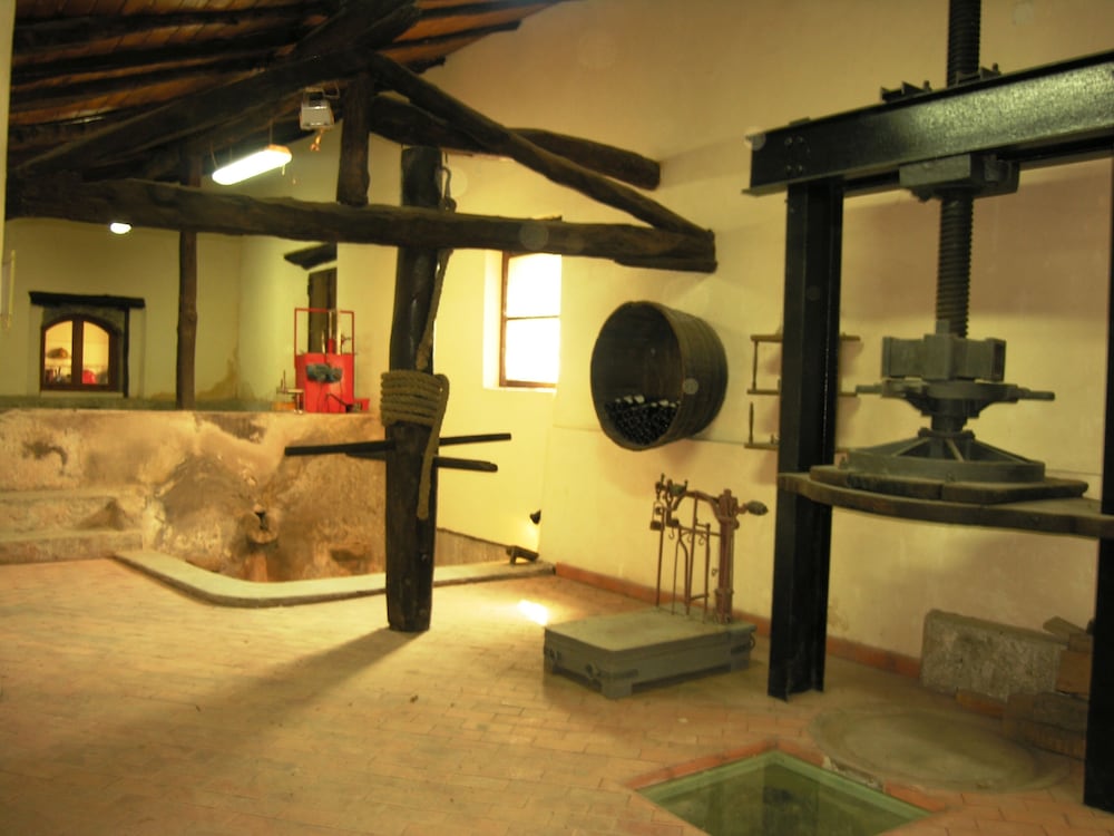 Il Casale Vasari