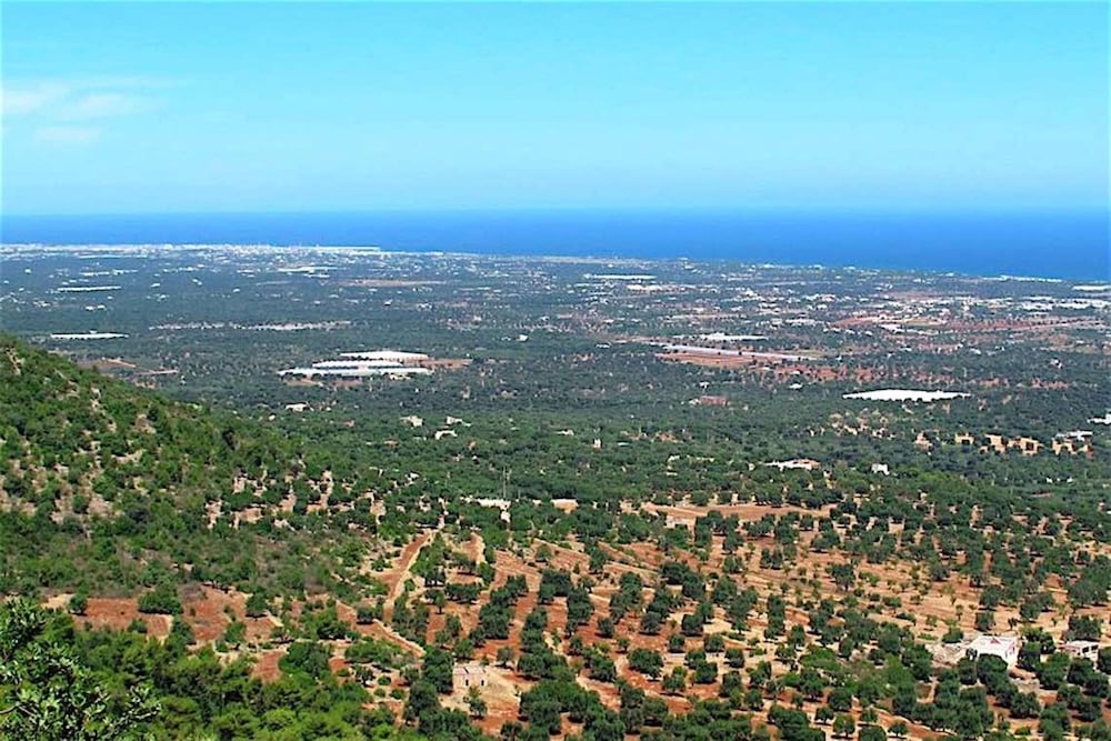 Trullo Marilì on the Fasano Selva view 4