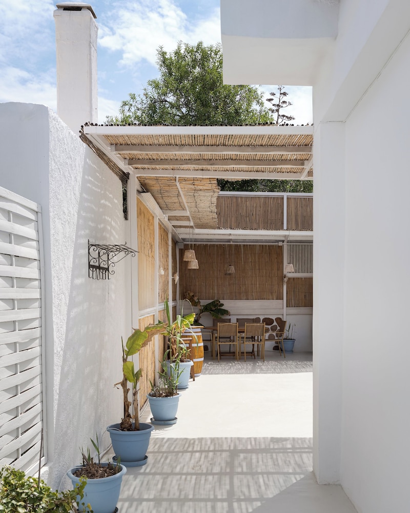 Porfyra Suite 1