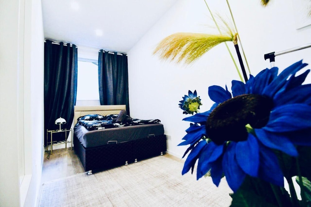 Cozy 2BR and Living Room Apt for 6