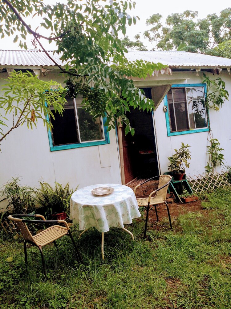 House Honu Rapanui inn