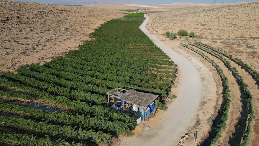 Carmey Avdat Farm