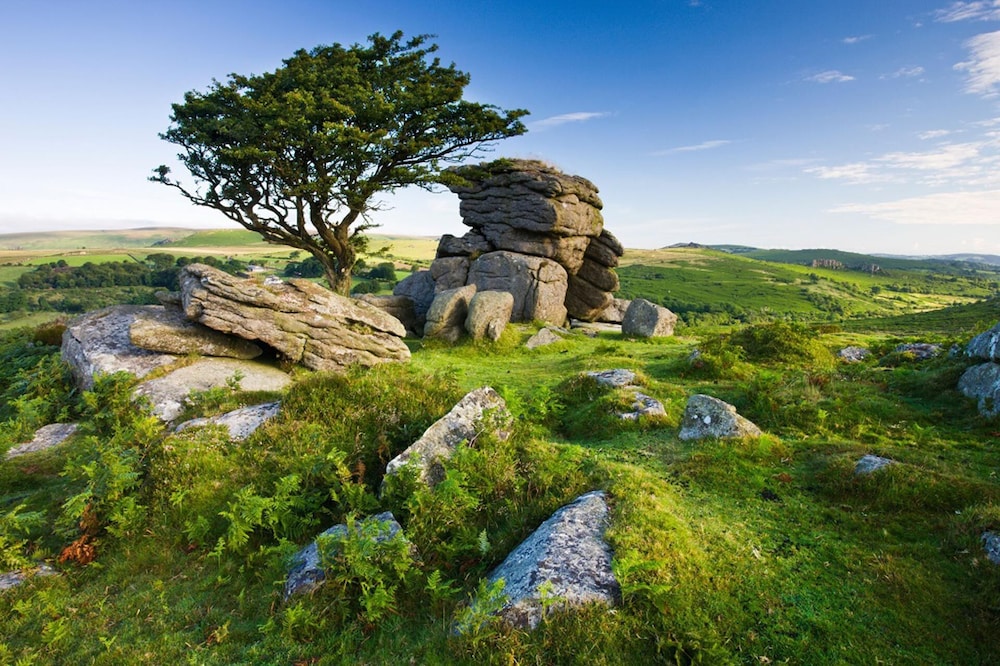 Photo 31