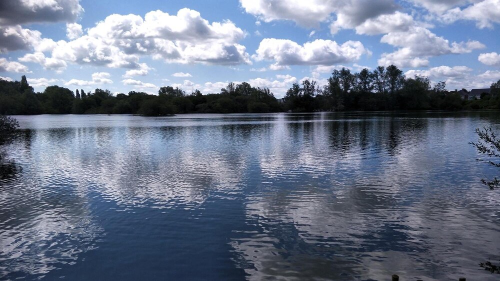 Photo 23