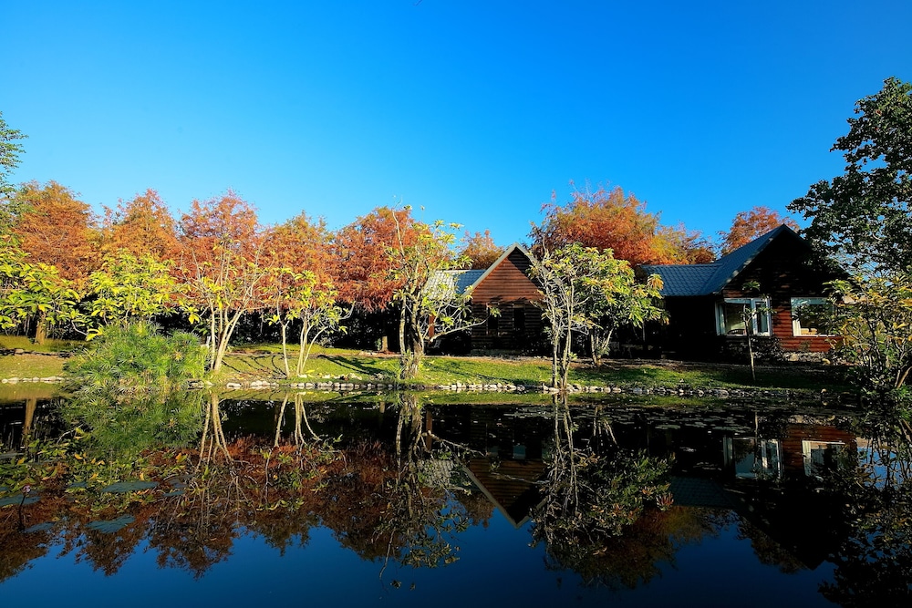 Green Forest Villa