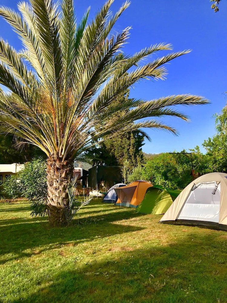 Angora Motel & Camping & Restaurant