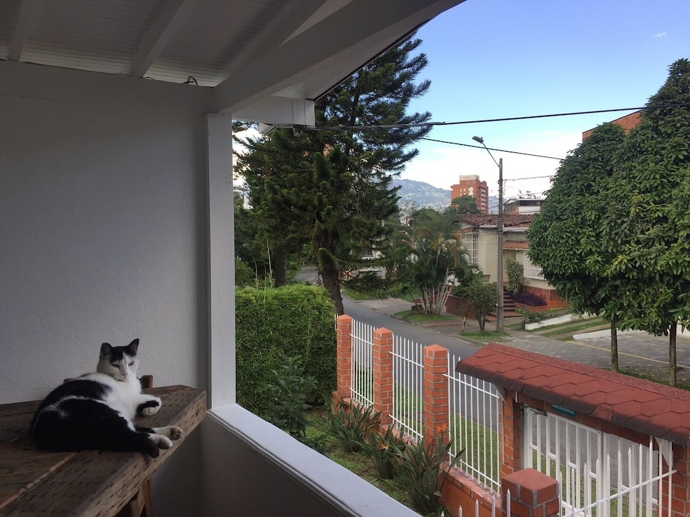 Black Sheep Hostel - Adults Only