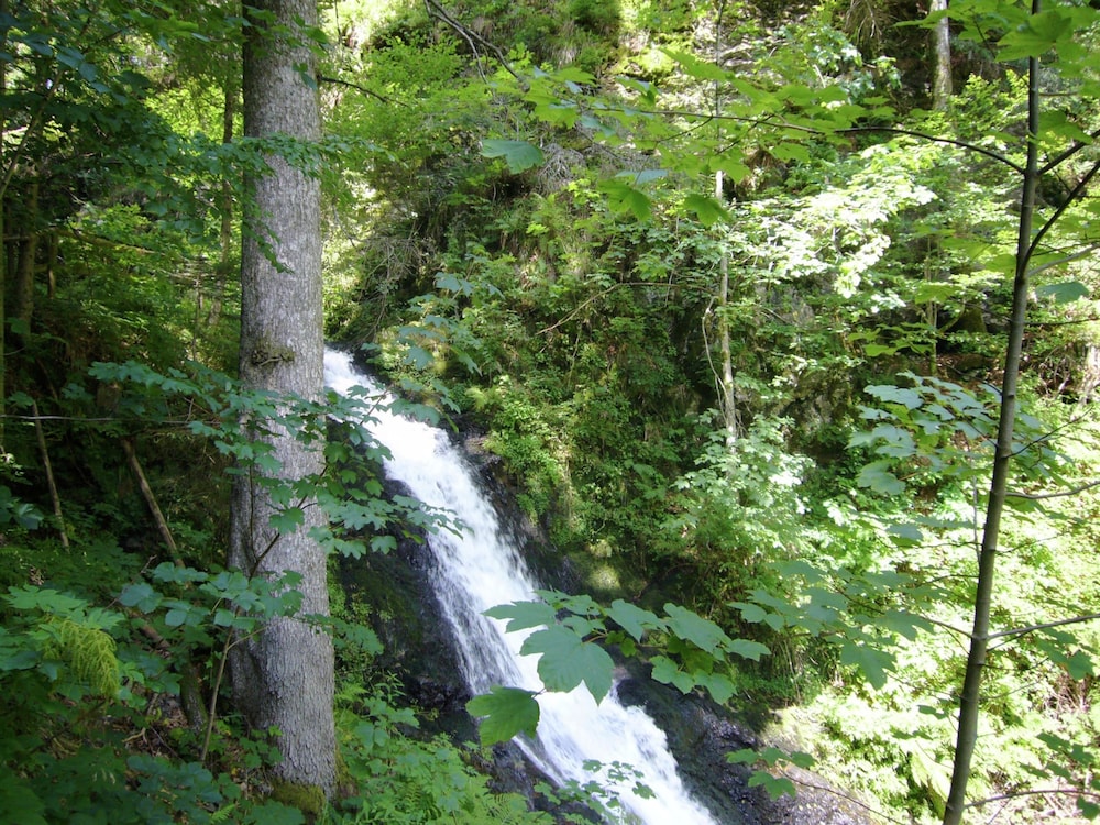Photo 33