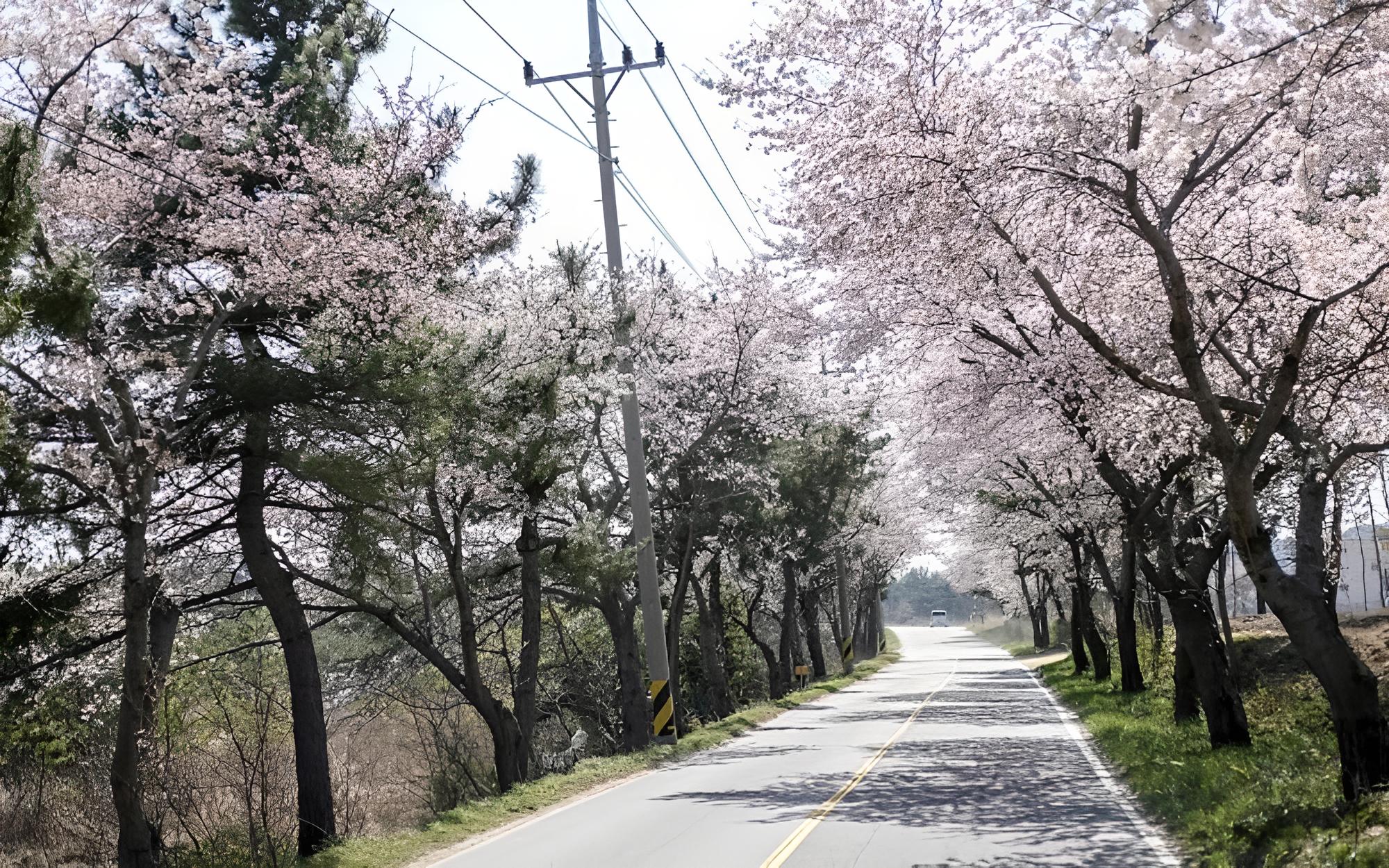 Yangyang Stay Frieden Pension view 2