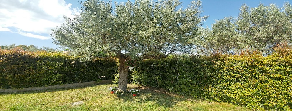 Villa Aurelio