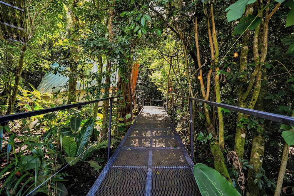 Tityra Lodge