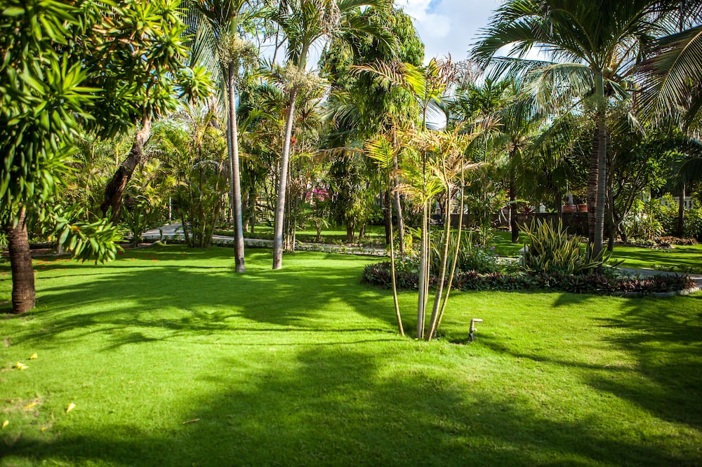 Allezboo Beach Resort & Spa