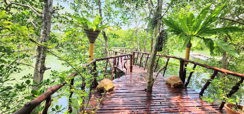 Khanittha Homestay