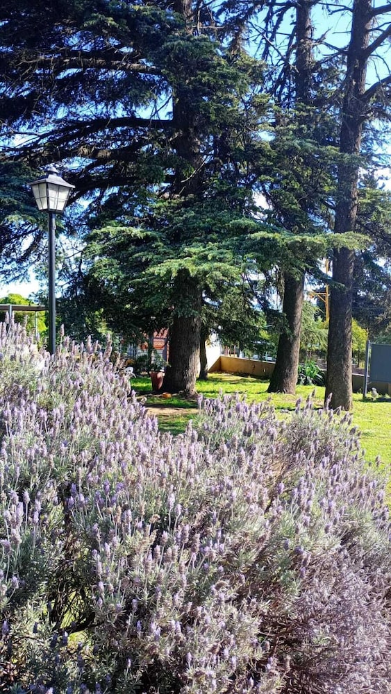 Posada Spa La Arabela