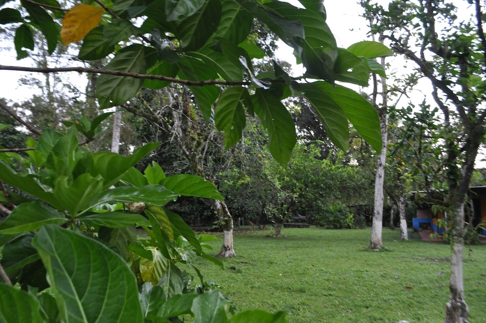 Finca don Litos
