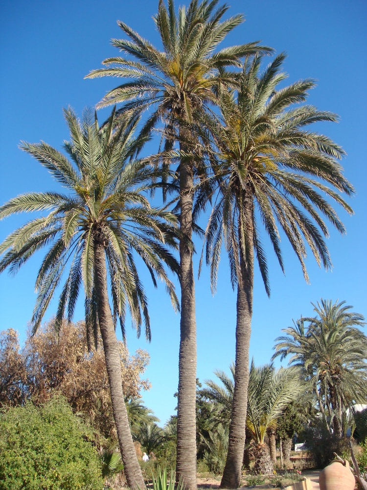 Photo 44