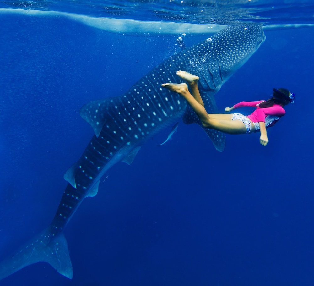 Kihaa Maldives