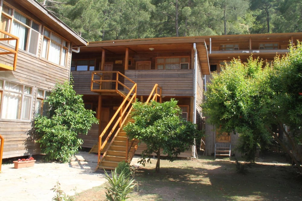 Turkmen Tree Houses