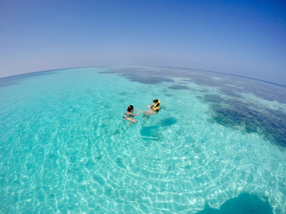 Beach Veli
