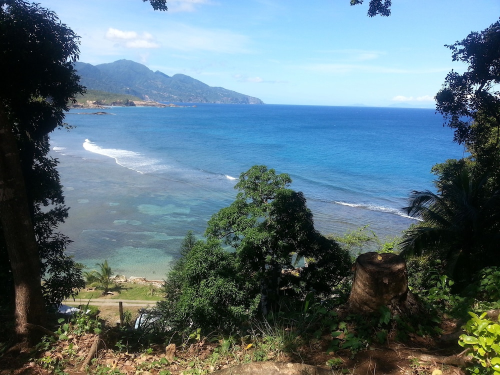 The Nixon's Bay Side Mangrove Inn