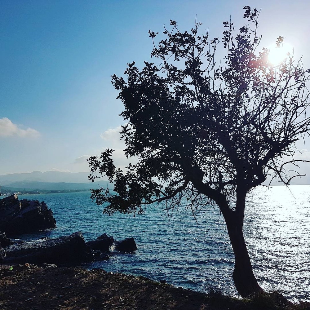 Elia Guesthouse - Kissamos