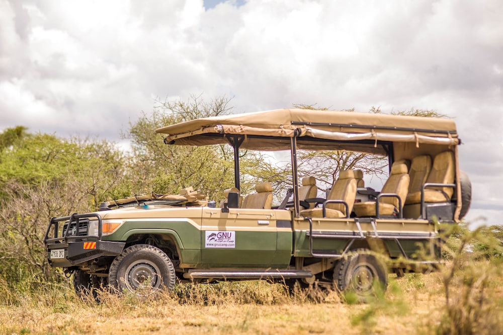 Gnu Ndutu Camp