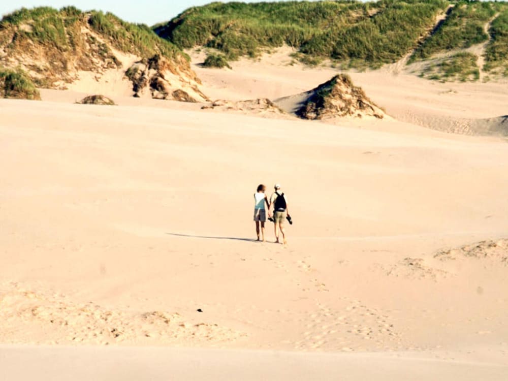 6 Person Holiday Park Home in Skagen