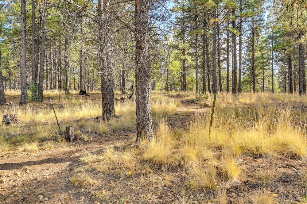 Charming Flagstaff Apartment: 5 Mi to Downtown view 4