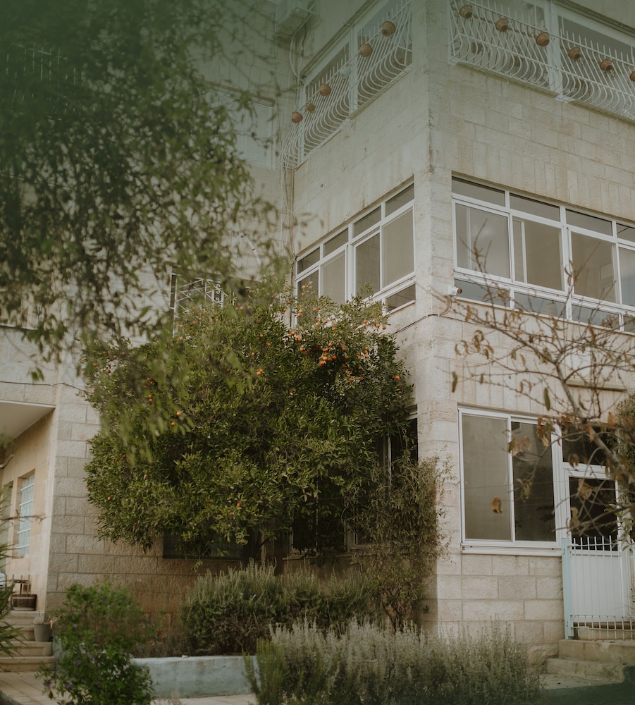 OliveTreeHostel, photo 57
